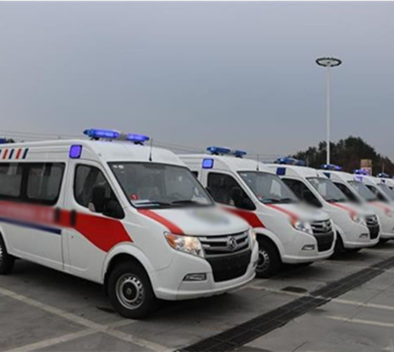 礼县服务车队展示